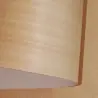 Aniegré Feuille